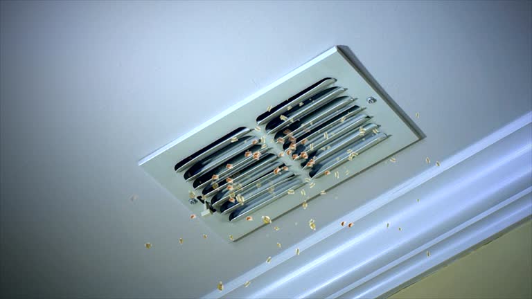 Best Dryer Vent Cleaning Services  in Hudson, OH